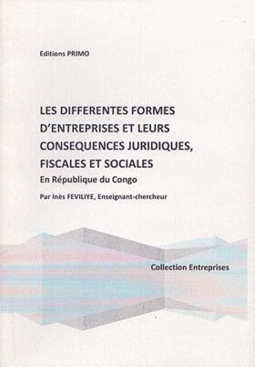 Les différentes formes d'entreprises et leurs conséquences juridiques, fiscales et sociales