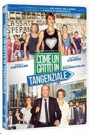 DVD Come Un Gatto In Tangenziale