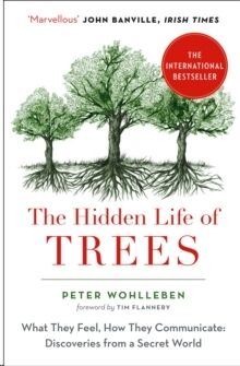 The Hidden Life of Trees