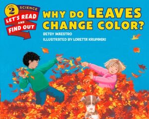 Why Do Leaves Change Color?