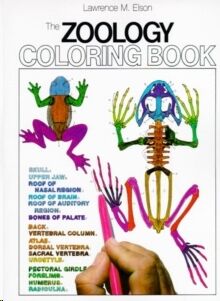 The Zoology Colouring Book