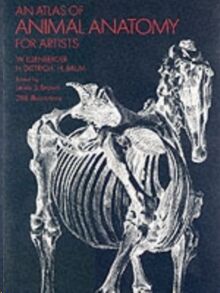 Animal Anatomy for Artists : The Elements of Form