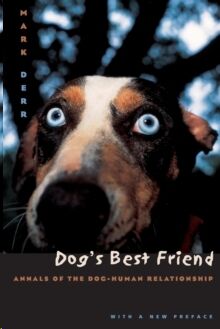 Dog's Best Friend : Annals of the Dog-Human Relationship