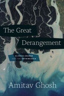 The Great Derangement