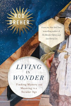 Living in Wonder: Finding Mystery and Meaning in a Secular Age.