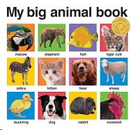 My Big Animal Book