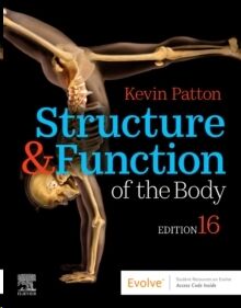 Structure & Function of the Body