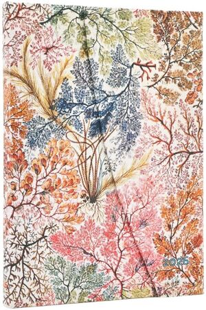 Agenda 2026 12 Meses / Anémonas - Serie William Kilburn / Midi