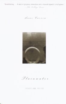 Plainwater : Essays And Poetry