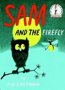 Sam and the Firefly
