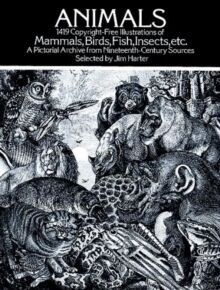 Animals: