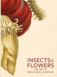 Insects and Flowers - The Art of Maria Sibylla Merian