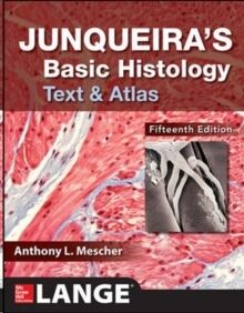 Junqueira's Basic Histology: Text and Atlas, Fifteenth Edition