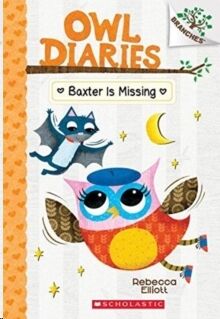 Baxter is Missing: A Branches Book 06