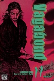 Vol.11:11 Vagabond (VIZBIG Edition)