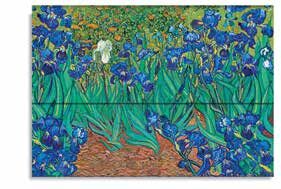 Carpeta / Lirios de Van Gogh - Serie Lirios de Van Gogh