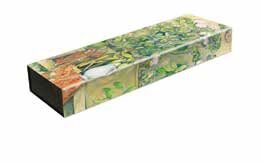 Estuche Multiusos / Macetas de Terracota y Flores de Cezanne