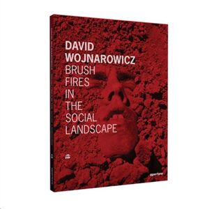 David Wojnarowicz : Brush Fires in the Social Landscape