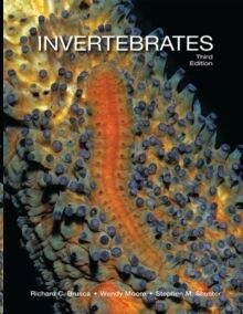 Invertebrates