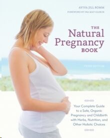 The Natural Pregnancy Book