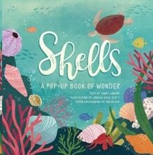 Shells : A Pop-up Book of Wonder