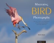 Mastering Bird Photography :