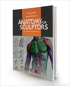 Understanding the Human Figure