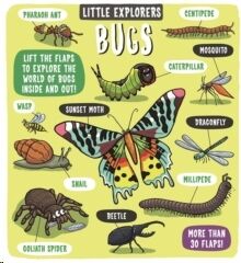 Little Explorers: Bugs