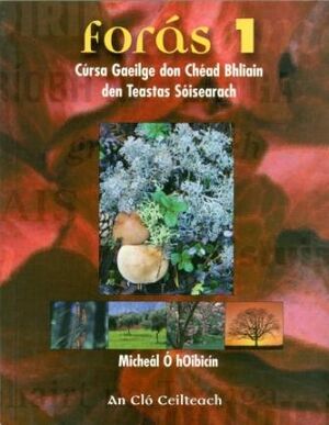 Foras 1 - Cúrsa Gaeilge don Chéad Bhliain den Teastas Sóisearach