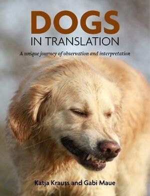 Dogs in Translation