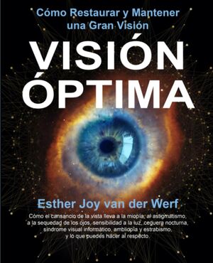 Visión Óptima