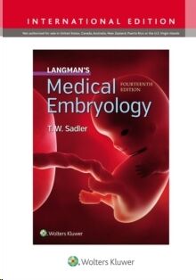 Langman's Medical Embryology
