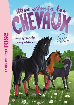 (02) La grande compétition