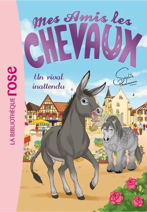 (04) Un rival inattendu