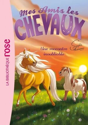 (06) Une rencontre inoubliable