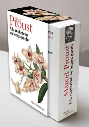 Recherche du temps perdu (l'intégrale)