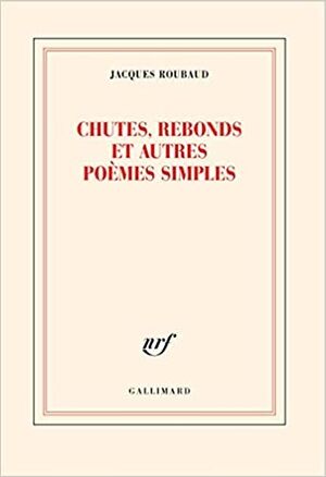 Chutes, rebonds et autres poèmes simples