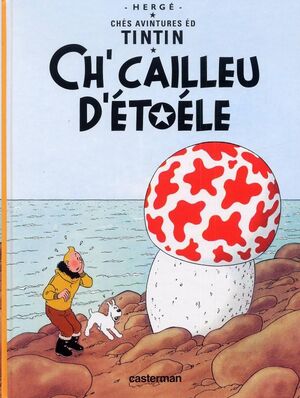 Tintin 10/Ch'cailleu d'étoéle