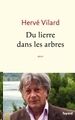 Du lierre dans les arbres
