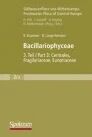 Bacillariophyceae: Teil 3: Centrales, Fragilariaceae, Eunotiaceae