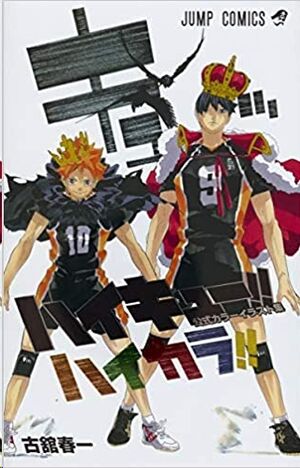 Haruichi Furudate Haikyuu!! (Haikyu!!) Official Color Art Book Japan