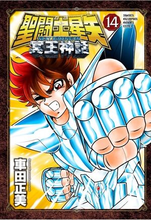 Saint Seiya: Next Dimension Vol. 14