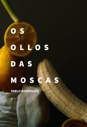 Os ollos das moscas