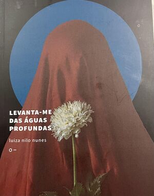 Levanta-me das águas profundas