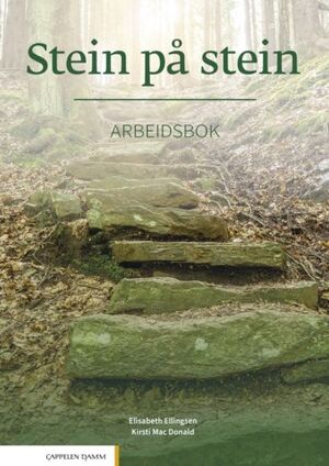 Stein på stein - Arbeidsbok B1