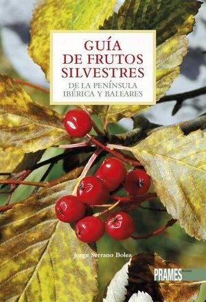 Guia de Frustos Silvestre Pensinsula y Baleares