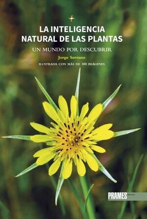 La inteligencia natural de las plantas