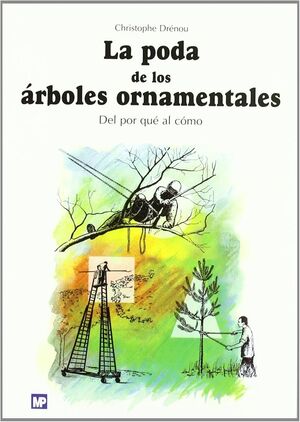 La poda de los árboles ornamentales