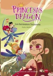 Princesas Dragón 5: Los hermanos Tormenta