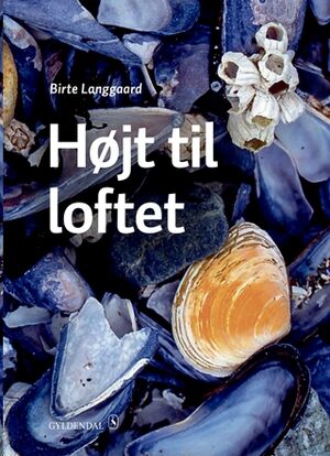 Højt til loftet